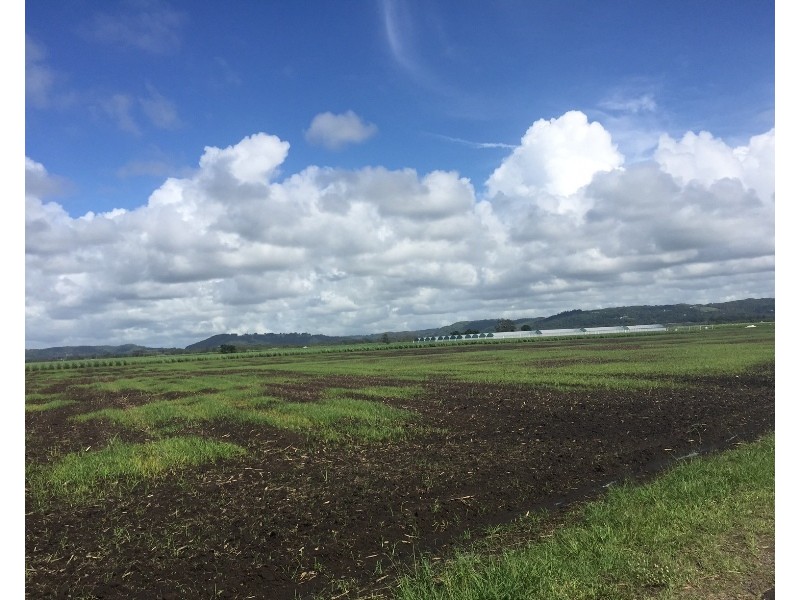 10  Sneesbys Lane, East Wardell NSW 2477