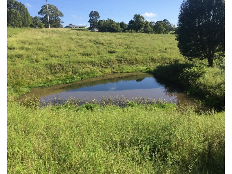 Lot 1  896 Wyrallah Road, Wyrallah NSW 2480