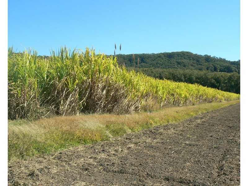 Lot 1 Pacific Highway, Pimlico NSW 2478