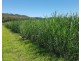 Lot 1 Pacific Highway, Pimlico NSW 2478