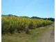 Lot 1 Pacific Highway, Pimlico NSW 2478