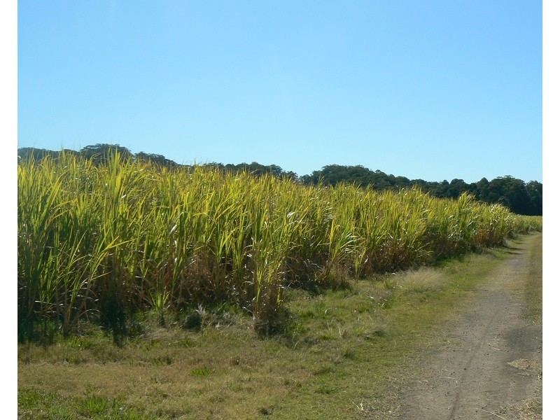 Lot 1 Pacific Highway, Pimlico NSW 2478