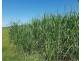 Lot 1 Pacific Highway, Pimlico NSW 2478