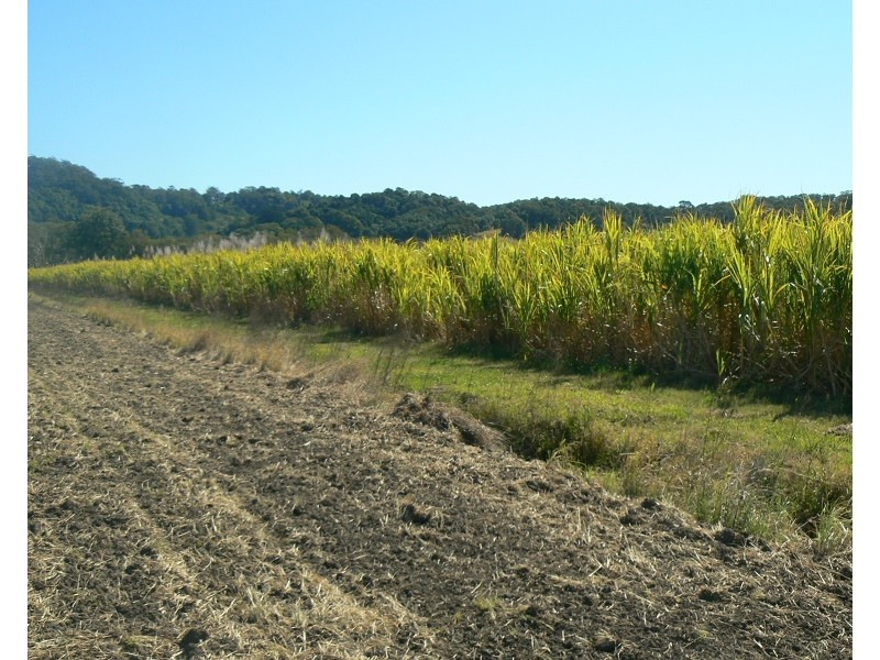 Lot 1 Pacific Highway, Pimlico NSW 2478