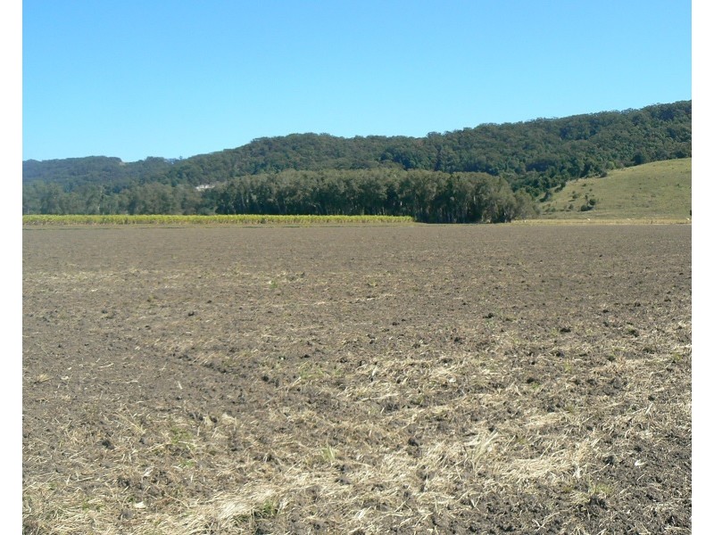 Lot 1 Pacific Highway, Pimlico NSW 2478
