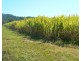 Lot 1 Pacific Highway, Pimlico NSW 2478