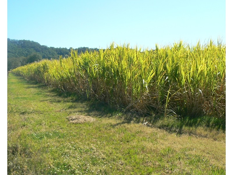 Lot 1 Pacific Highway, Pimlico NSW 2478