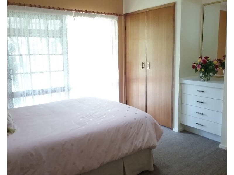 138 Bice Road, Leycester NSW 2480