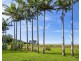 213 Keith Hall Lane, Keith Hall NSW 2478