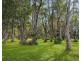 213 Keith Hall Lane, Keith Hall NSW 2478