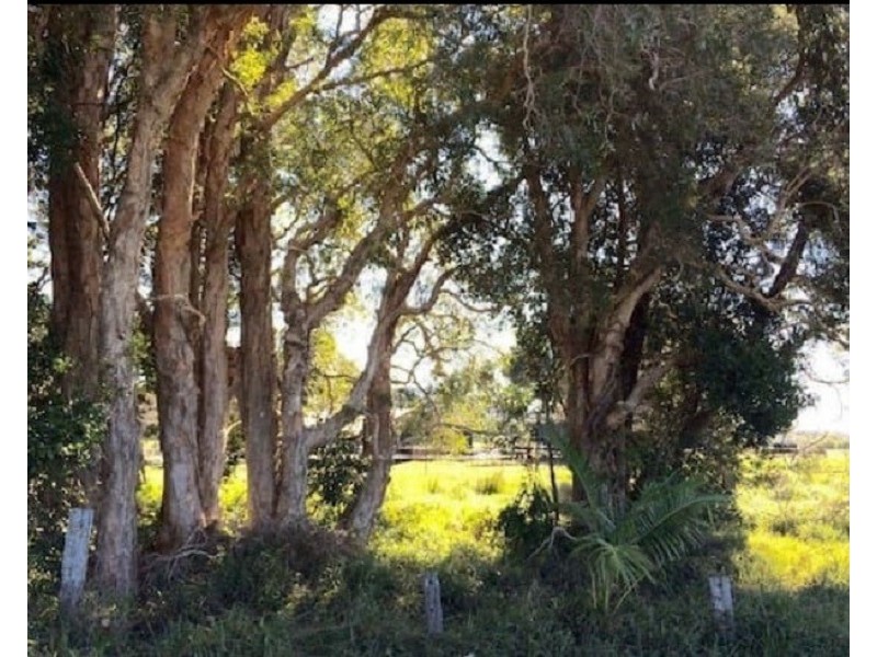 855  Pimlico Road, Pimlico NSW 2478