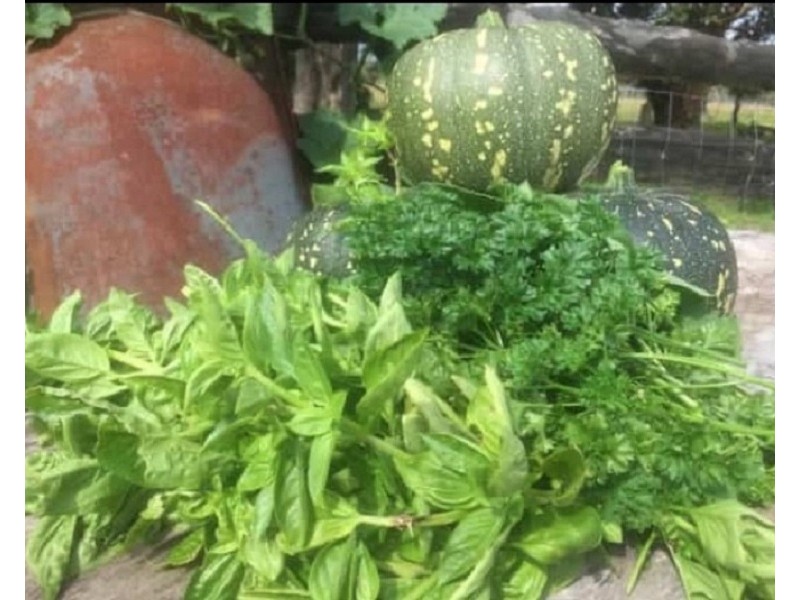 855  Pimlico Road, Pimlico NSW 2478