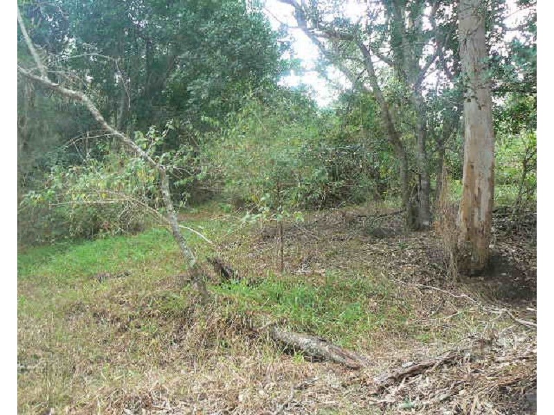 Lot 1 Pimlico Road, Pimlico NSW 2478