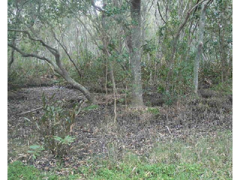 Lot 1 Pimlico Road, Pimlico NSW 2478