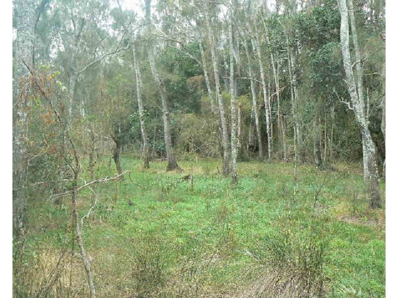 Lot 1 Pimlico Road, Pimlico NSW 2478