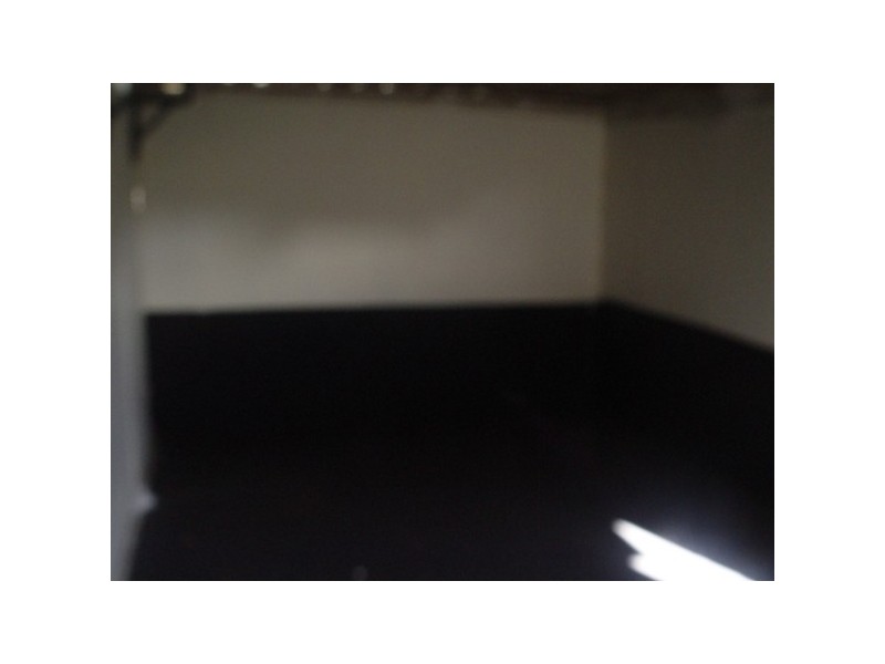 67 DUDLEY ST, Berala NSW 2141