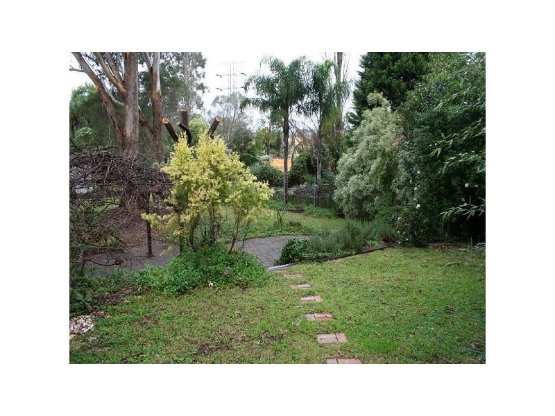 75 Baker Street, Carlingford NSW 2118