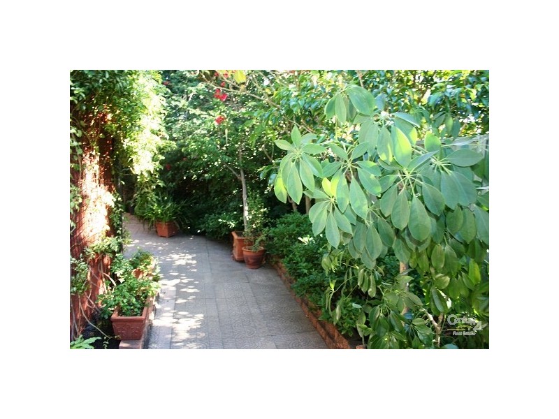 226 Ray Road, Epping NSW 2121