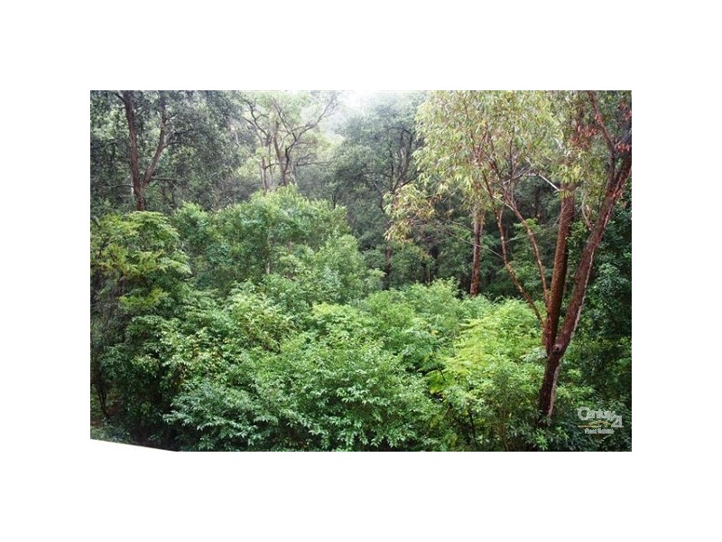 17/57 Leamington Street, Telopea NSW 2117