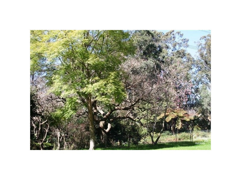 10a Redgum Avenue, Pennant Hills NSW 2120