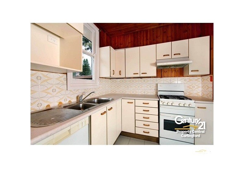 16 Cunningham St, Telopea NSW 2117