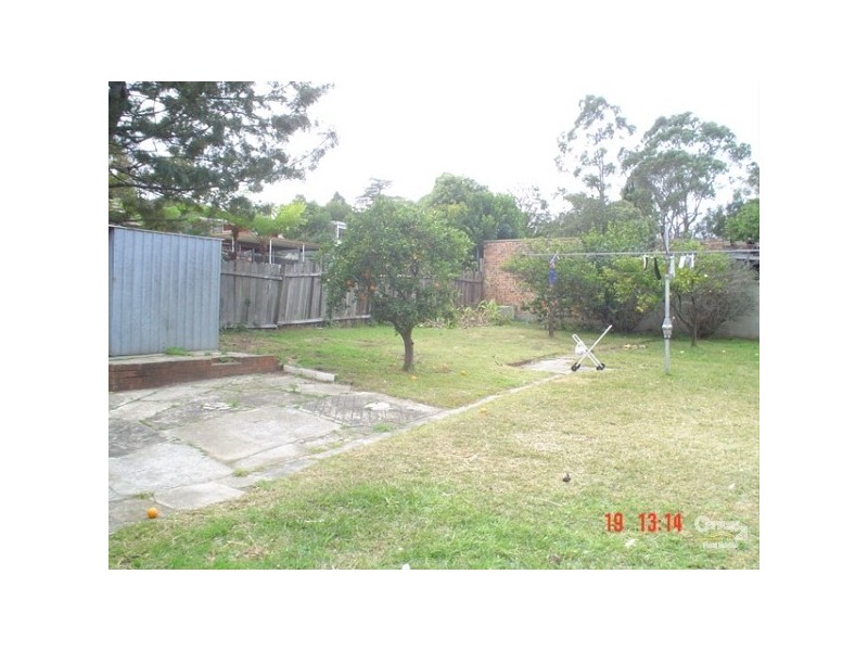 53 Jenkins Rd, Carlingford NSW 2118