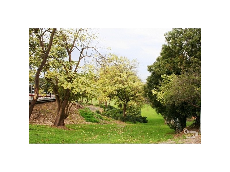 11/2 Coleman Ave, Carlingford NSW 2118