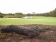 1 St Andrews Parkway, Medowie NSW 2318