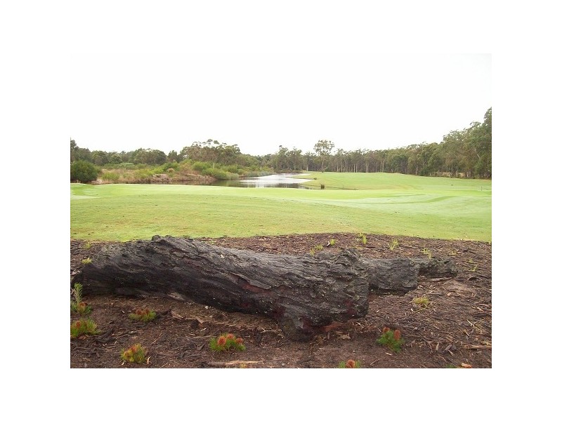 1 St Andrews Parkway, Medowie NSW 2318