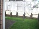 14 Chalmers Road, Wallsend NSW 2287