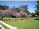 Medowie NSW 2318