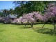 Medowie NSW 2318