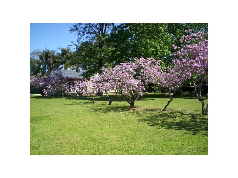 Medowie NSW 2318