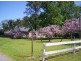 Medowie NSW 2318