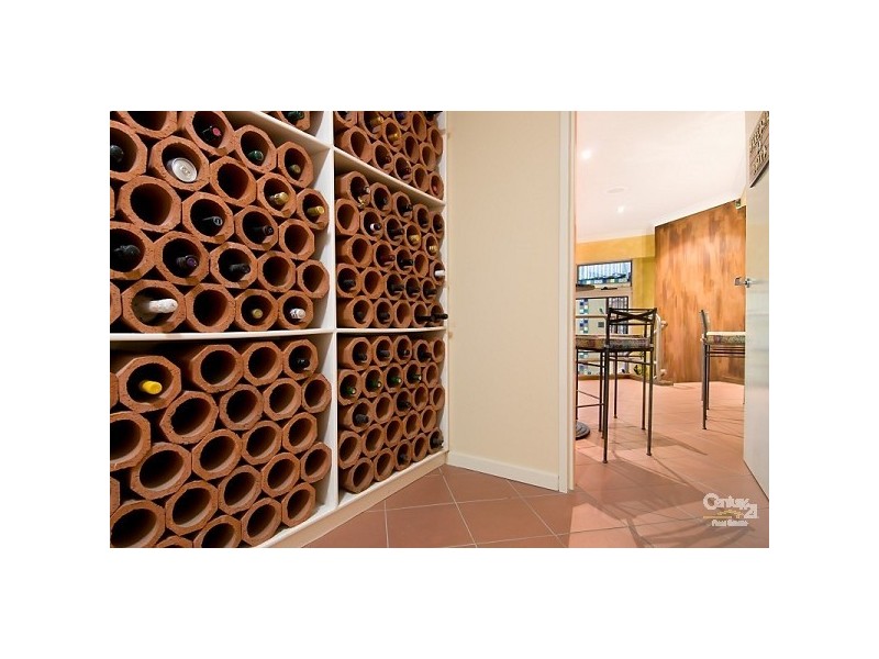 25a Brown Street, The Hill NSW 2300