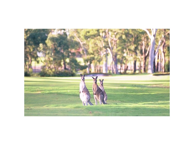 Lot 19 Pinehurst Way, Pacific Dunes, Medowie NSW 2318