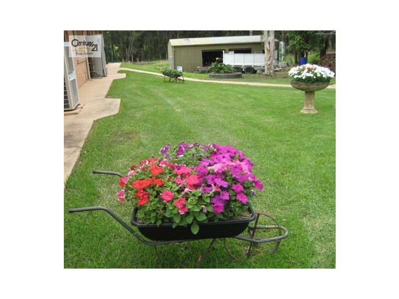 1 Blueberry Road, Medowie NSW 2318