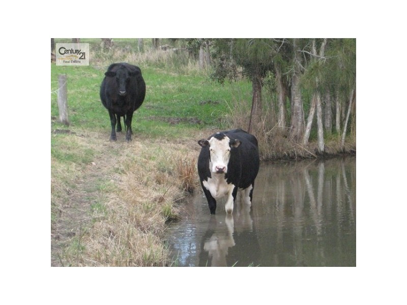 1 Blueberry Road, Medowie NSW 2318