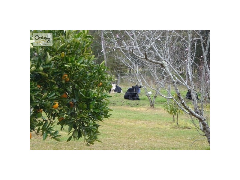 1 Blueberry Road, Medowie NSW 2318