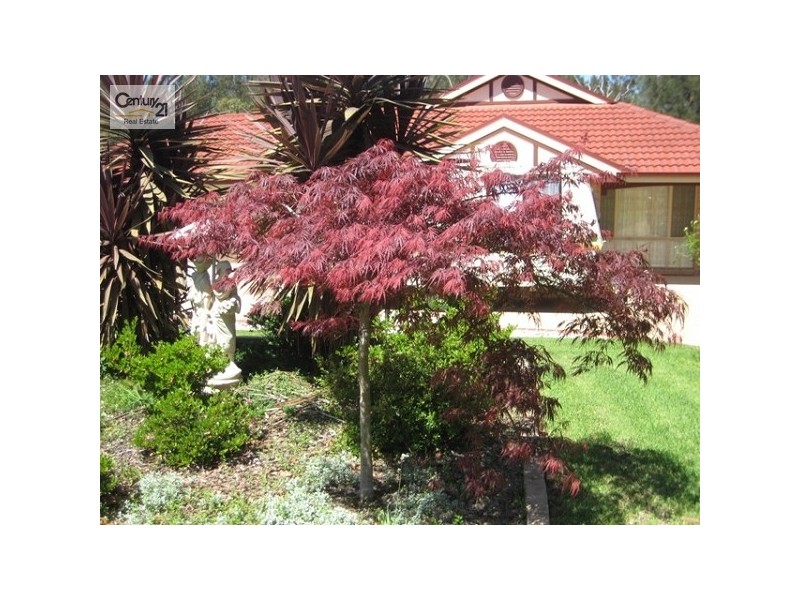 1 Blueberry Road, Medowie NSW 2318