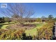 21 Forsythe Parade, Black Hill NSW 2322
