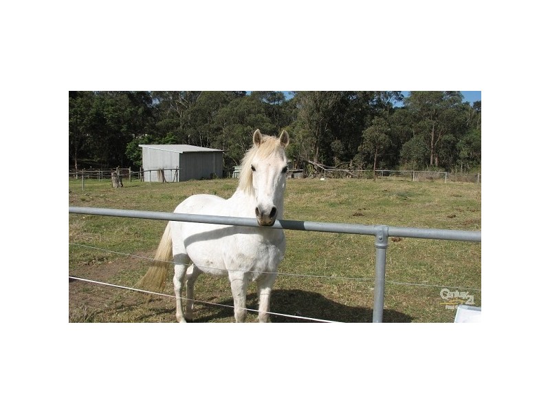 87 Violet Town Road, Tingira Heights NSW 2290