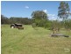 44 Lisadell Road, Medowie NSW 2318