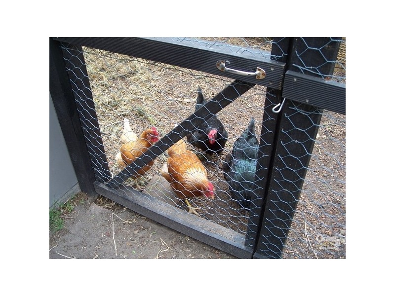 3 Avon Street, Mayfield NSW 2304