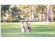 Lot 32 Sunningdale Circuit, Medowie NSW 2318