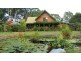 61 Abundance Road, Medowie NSW 2318
