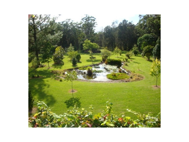 61 Abundance Road, Medowie NSW 2318