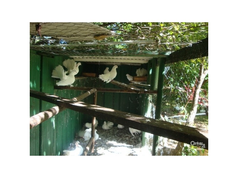 91 James Road, Medowie NSW 2318