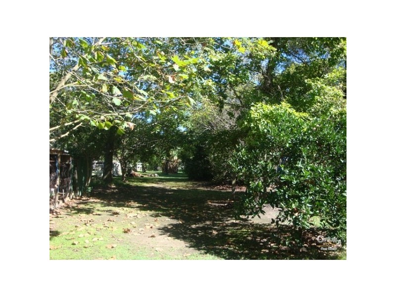 91 James Road, Medowie NSW 2318