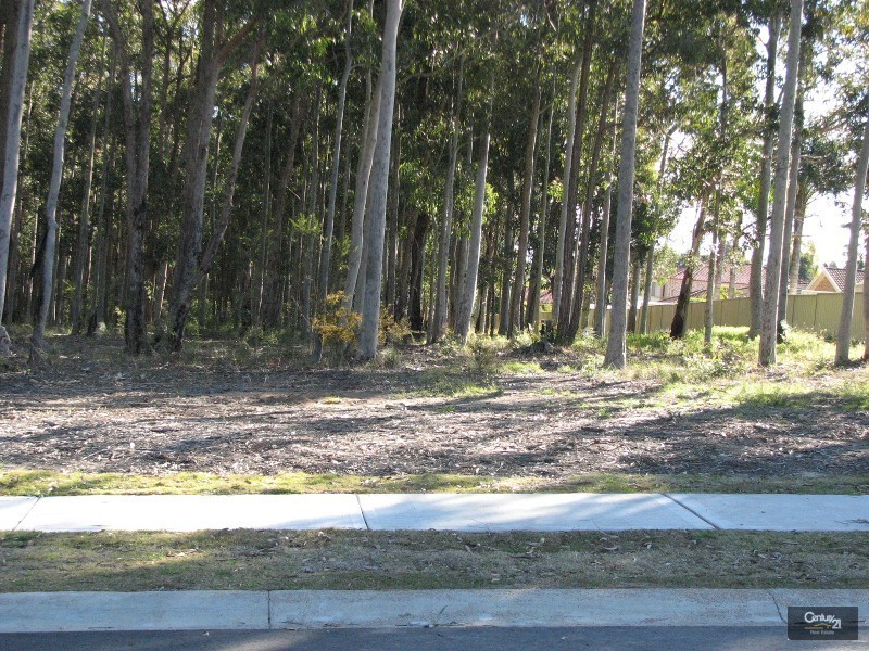 Lot 70 Magnetic Drive, The Linkage Estate, Ashtonfield NSW 2323